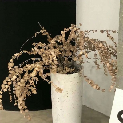 丹江口FurryQQ群介绍